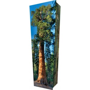 Unique Redwood - Personalised Picture Coffin with Customised Design.